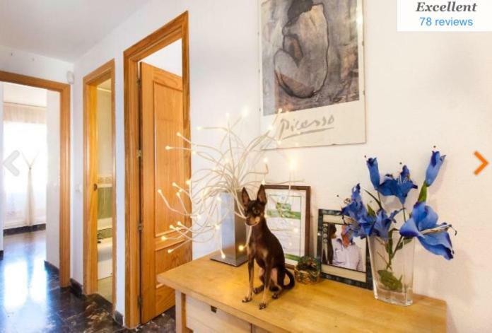 Apartamento Penthouse With Private Roof Terrace And Jacuzzi Fuengirola Exterior foto